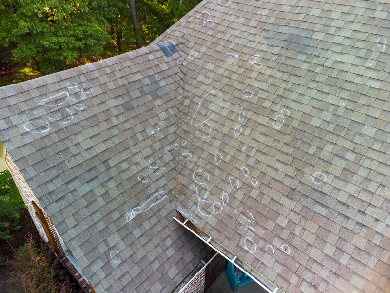 Rubber Roof Inspection